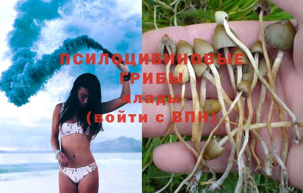 ALPHA PVP Армянск