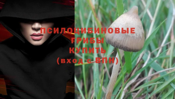 ALPHA PVP Армянск