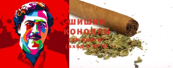 PSILOCYBIN Баксан