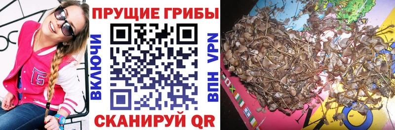 Галлюциногенные грибы GOLDEN TEACHER  Таруса 